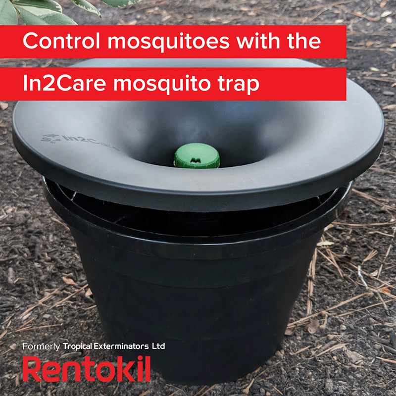 Tropical Exterminations Control Mosquitos With In2Care Mosquito Trap