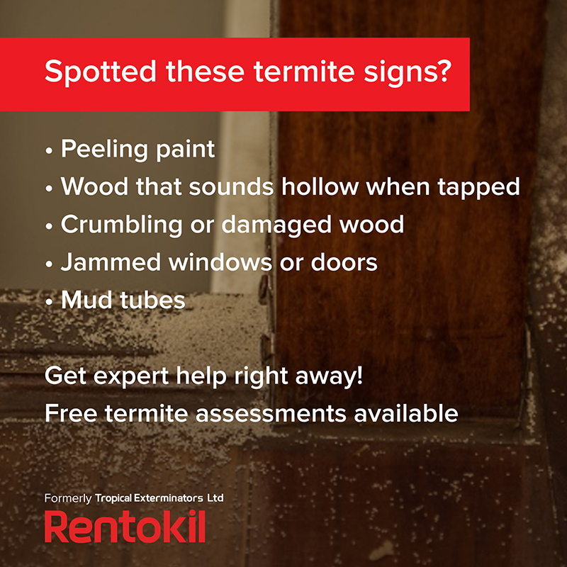 Tropical Exterminators | We offer FREE termite assessments - no obligation.