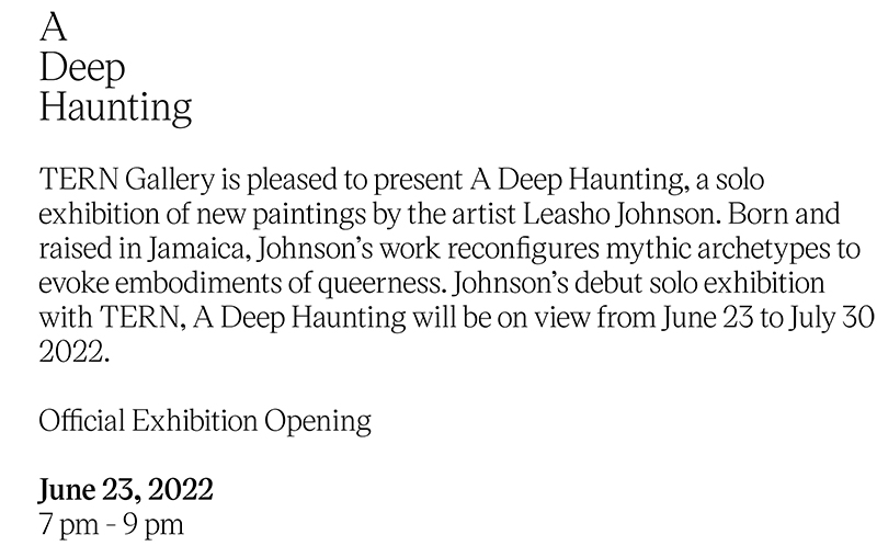 TERN - A Deep Haunting Official Exhibition Opening