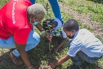 SCOTIABANK CHAMPIONS ENVIRONMENT PROTECTION AMONG YOUTH, PLANTS TREES IN PRIMARY SCHOOLS