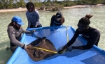 BAMSI Students get up close and personal with sharks and stingrays