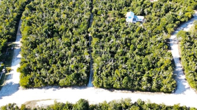 Lot 10, Abaco Ocean Club, Lubbers Quarters