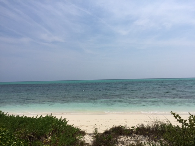 Rare beachfront property in East Grand Bahama