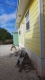Lot 11164, Bahama Sound 8